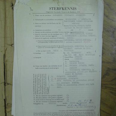 SDC10338