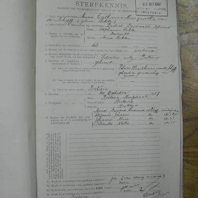 SDC17382