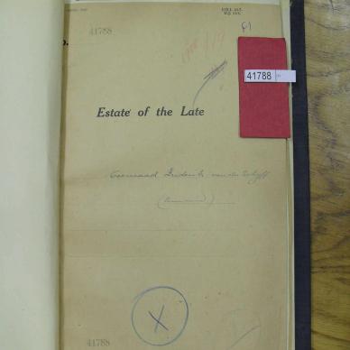 SDC10748