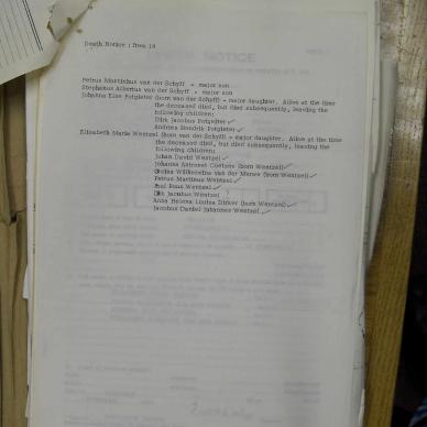 SDC10419