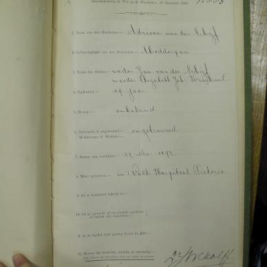 SDC10561