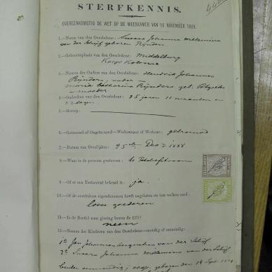SDC10237