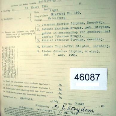 46087 STRYDOM Johannes Andries c