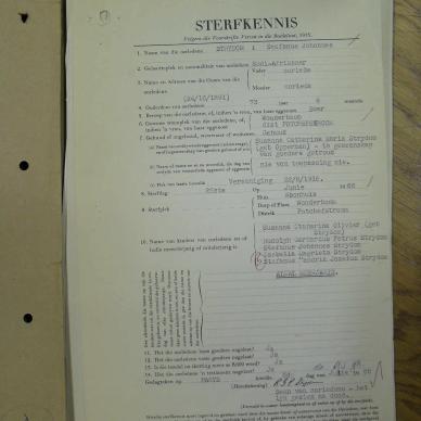 SDC13652
