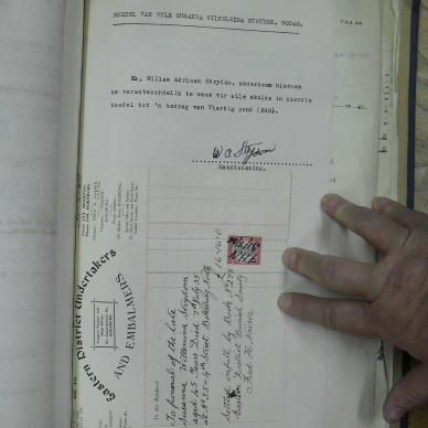 SDC10366