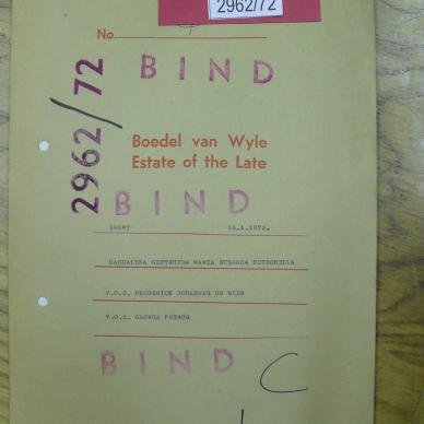 SDC18134