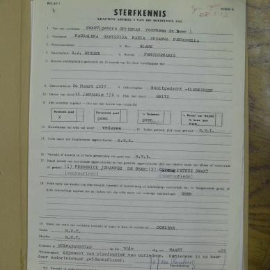 SDC18135