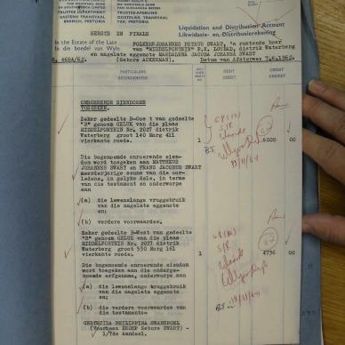 SDC19467