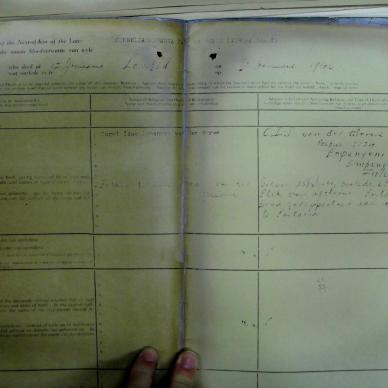 SDC19484