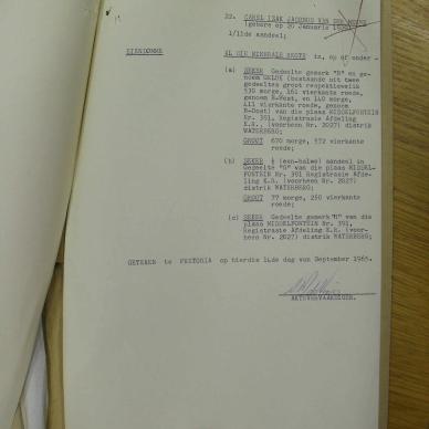 SDC19491