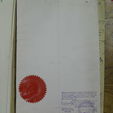 SDC17356