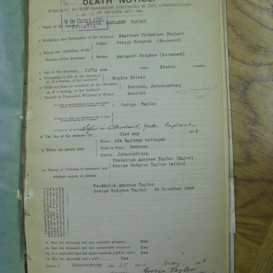 SDC10320