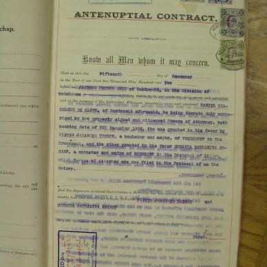 SDC10392