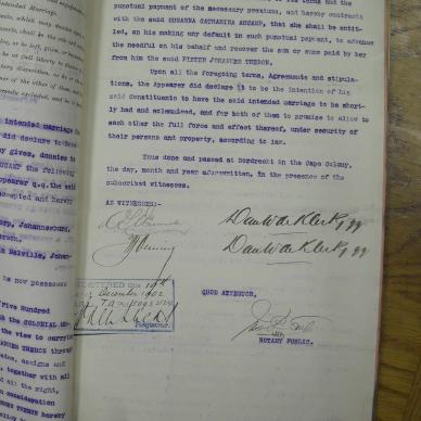 SDC10393