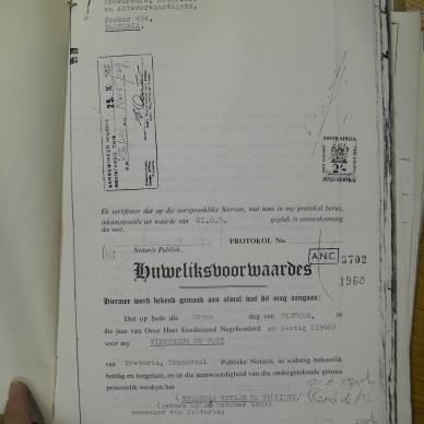 SDC19372