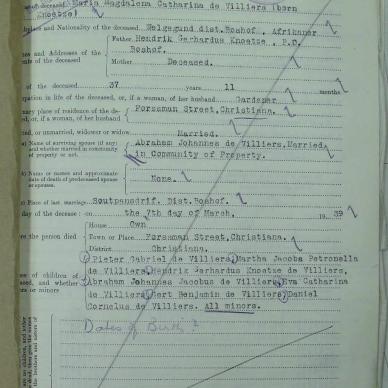 SDC10440