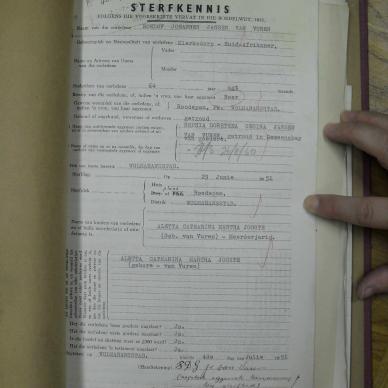 SDC10499