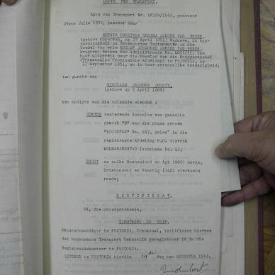 SDC10507