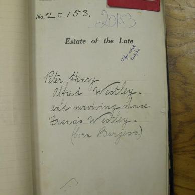 SDC19684