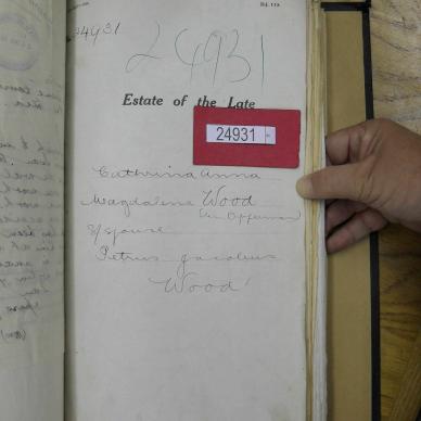 SDC10272