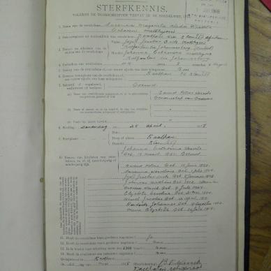 SDC10165