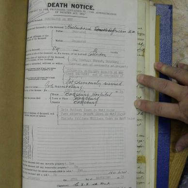 SDC10309