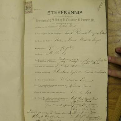 SDC10294