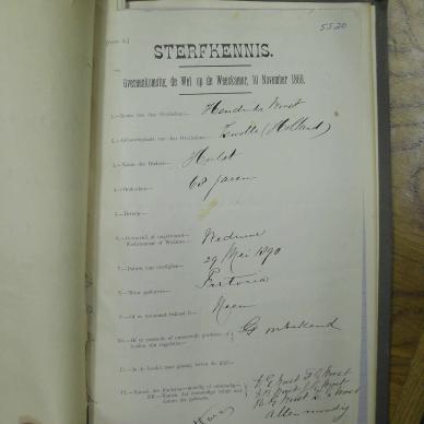 SDC10347