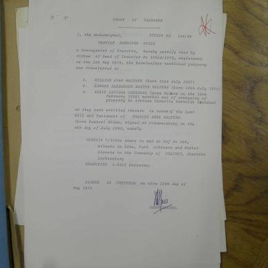 SDC11961