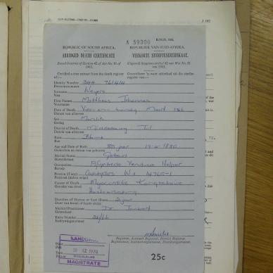 SDC19538