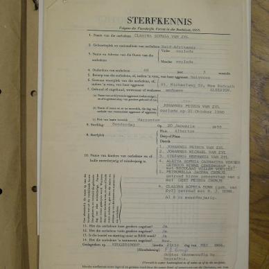 SDC10435