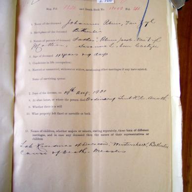 ZYL Johannes Petrus VAN - died 19 Aug 1901